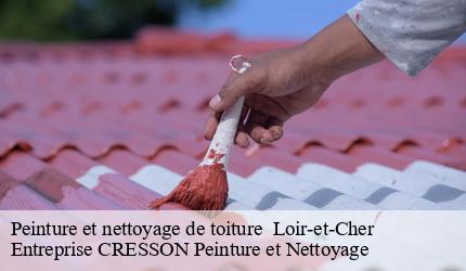 Peinture et nettoyage de toiture  41 Loir-et-Cher  Entreprise CRESSON Peinture et Nettoyage