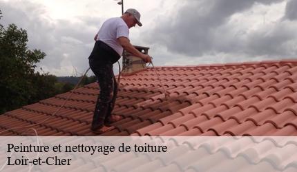 Peinture et nettoyage de toiture  41 Loir-et-Cher  Entreprise CRESSON Peinture et Nettoyage