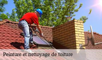 Peinture et nettoyage de toiture  41 Loir-et-Cher  Entreprise CRESSON Peinture et Nettoyage