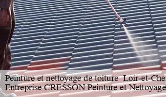 Peinture et nettoyage de toiture  41 Loir-et-Cher  Entreprise CRESSON Peinture et Nettoyage