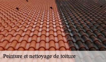 Peinture et nettoyage de toiture  41 Loir-et-Cher  Entreprise CRESSON Peinture et Nettoyage