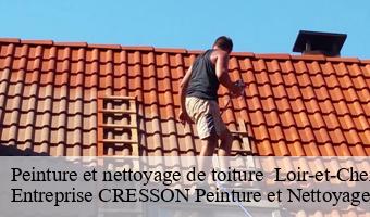 Peinture et nettoyage de toiture  41 Loir-et-Cher  Entreprise CRESSON Peinture et Nettoyage