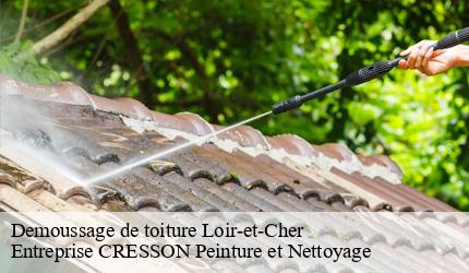 Demoussage de toiture 41 Loir-et-Cher  Entreprise CRESSON Peinture et Nettoyage