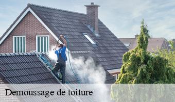 Demoussage de toiture 41 Loir-et-Cher  Entreprise CRESSON Peinture et Nettoyage