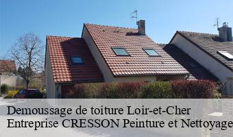 Demoussage de toiture 41 Loir-et-Cher  Entreprise CRESSON Peinture et Nettoyage