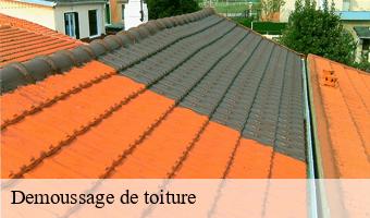 Demoussage de toiture 41 Loir-et-Cher  Entreprise CRESSON Peinture et Nettoyage