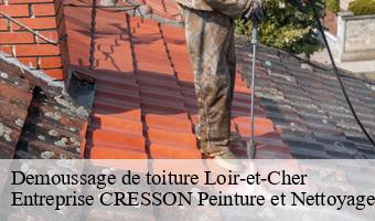 Demoussage de toiture 41 Loir-et-Cher  Entreprise CRESSON Peinture et Nettoyage