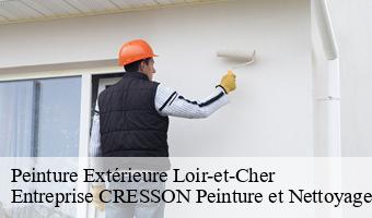 Peinture Extérieure 41 Loir-et-Cher  Entreprise CRESSON Peinture et Nettoyage