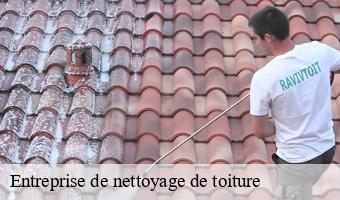 Entreprise de nettoyage de toiture 41 Loir-et-Cher  Entreprise CRESSON Peinture et Nettoyage