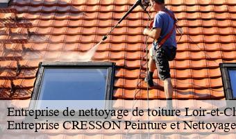 Entreprise de nettoyage de toiture 41 Loir-et-Cher  Entreprise CRESSON Peinture et Nettoyage