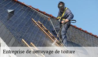 Entreprise de nettoyage de toiture 41 Loir-et-Cher  Entreprise CRESSON Peinture et Nettoyage