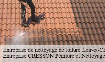 Entreprise de nettoyage de toiture 41 Loir-et-Cher  Entreprise CRESSON Peinture et Nettoyage