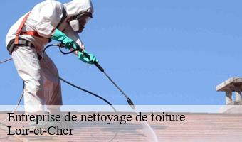 Entreprise de nettoyage de toiture 41 Loir-et-Cher  Entreprise CRESSON Peinture et Nettoyage