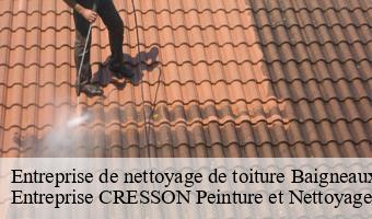 Entreprise de nettoyage de toiture  baigneaux-41290 Entreprise CRESSON Peinture et Nettoyage