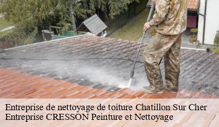Entreprise de nettoyage de toiture  chatillon-sur-cher-41130 Entreprise CRESSON Peinture et Nettoyage