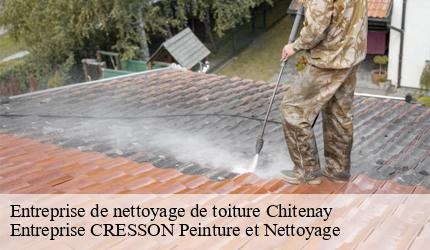 Entreprise de nettoyage de toiture chitenay-41120 Entreprise CRESSON Peinture et Nettoyage