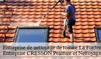 Entreprise de nettoyage de toiture  la-fontenelle-41270 Entreprise CRESSON Peinture et Nettoyage