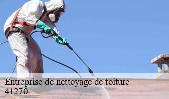 Entreprise de nettoyage de toiture  la-fontenelle-41270 Entreprise CRESSON Peinture et Nettoyage