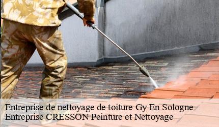 Entreprise de nettoyage de toiture  gy-en-sologne-41230 Entreprise CRESSON Peinture et Nettoyage