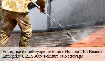 Entreprise de nettoyage de toiture  huisseau-en-beauce-41310 Entreprise CRESSON Peinture et Nettoyage