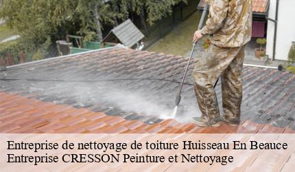 Entreprise de nettoyage de toiture huisseau-en-beauce-41310 Entreprise CRESSON Peinture et Nettoyage