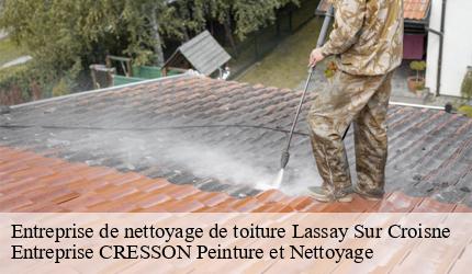 Entreprise de nettoyage de toiture  lassay-sur-croisne-41230 Entreprise CRESSON Peinture et Nettoyage