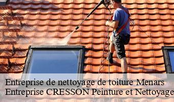 Entreprise de nettoyage de toiture  menars-41500 Entreprise CRESSON Peinture et Nettoyage