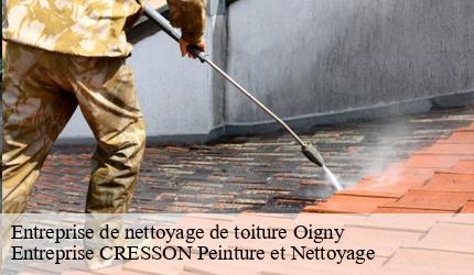Entreprise de nettoyage de toiture  oigny-41170 Entreprise CRESSON Peinture et Nettoyage