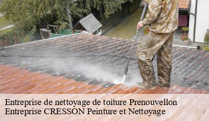 Entreprise de nettoyage de toiture prenouvellon-41240 Entreprise CRESSON Peinture et Nettoyage