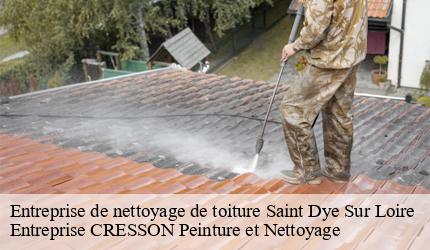 Entreprise de nettoyage de toiture  saint-dye-sur-loire-41500 Entreprise CRESSON Peinture et Nettoyage