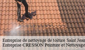 Entreprise de nettoyage de toiture  saint-jean-froidmentel-41160 Entreprise CRESSON Peinture et Nettoyage