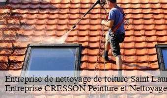 Entreprise de nettoyage de toiture  saint-laurent-nouan-41220 Entreprise CRESSON Peinture et Nettoyage