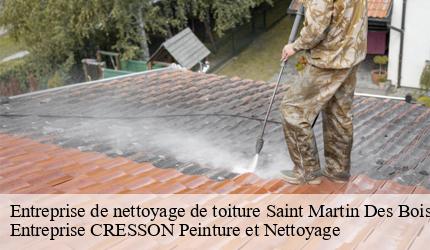 Entreprise de nettoyage de toiture  saint-martin-des-bois-41800 Entreprise CRESSON Peinture et Nettoyage