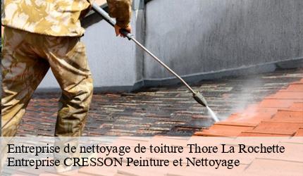 Entreprise de nettoyage de toiture  thore-la-rochette-41100 Entreprise CRESSON Peinture et Nettoyage