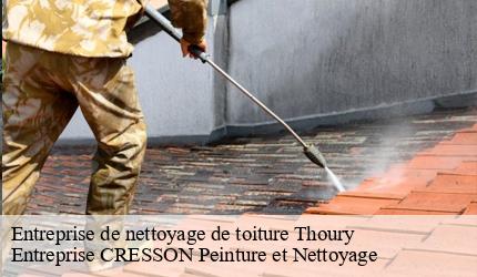 Entreprise de nettoyage de toiture  thoury-41220 Entreprise CRESSON Peinture et Nettoyage