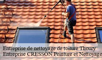 Entreprise de nettoyage de toiture  thoury-41220 Entreprise CRESSON Peinture et Nettoyage