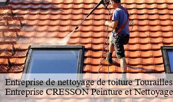 Entreprise de nettoyage de toiture  tourailles-41190 Entreprise CRESSON Peinture et Nettoyage