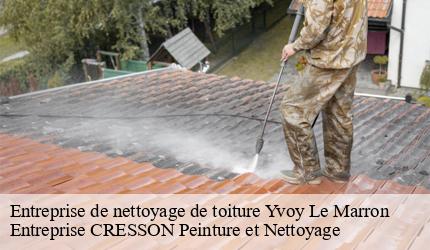 Entreprise de nettoyage de toiture  yvoy-le-marron-41600 Entreprise CRESSON Peinture et Nettoyage