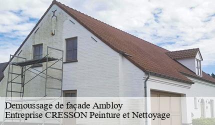 Demoussage de façade  ambloy-41310 Entreprise CRESSON Peinture et Nettoyage