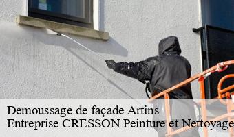 Demoussage de façade  artins-41800 Entreprise CRESSON Peinture et Nettoyage