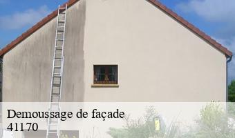Demoussage de façade  arville-41170 Entreprise CRESSON Peinture et Nettoyage