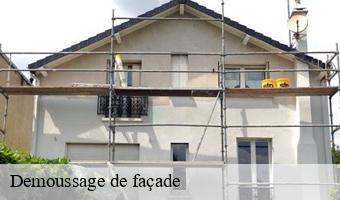 Demoussage de façade  aze-41100 Entreprise CRESSON Peinture et Nettoyage