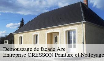 Demoussage de façade  aze-41100 Entreprise CRESSON Peinture et Nettoyage