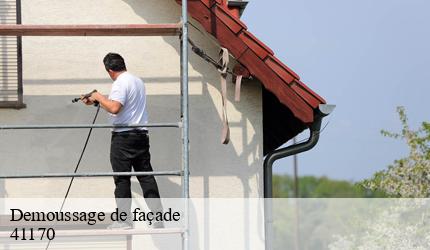 Demoussage de façade  beauchene-41170 Entreprise CRESSON Peinture et Nettoyage