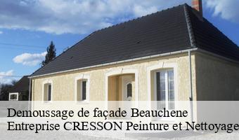 Demoussage de façade  beauchene-41170 Entreprise CRESSON Peinture et Nettoyage