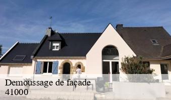 Demoussage de façade  blois-41000 Entreprise CRESSON Peinture et Nettoyage