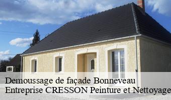 Demoussage de façade  bonneveau-41800 Entreprise CRESSON Peinture et Nettoyage