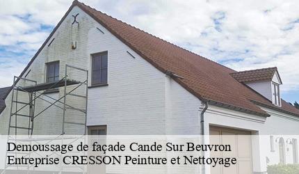 Demoussage de façade  cande-sur-beuvron-41120 Entreprise CRESSON Peinture et Nettoyage