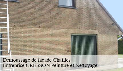 Demoussage de façade  chailles-41120 Entreprise CRESSON Peinture et Nettoyage