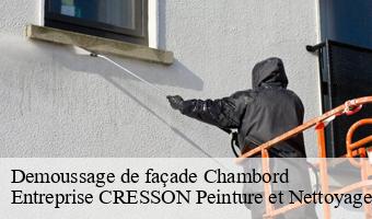 Demoussage de façade  chambord-41250 Entreprise CRESSON Peinture et Nettoyage